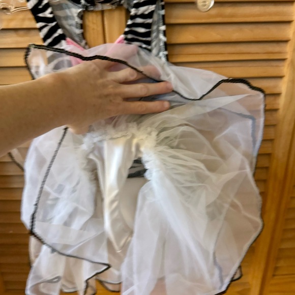 Small child Zebra dance costume—ages 2-3. Approx 18” too to bottom. Lined. - Picture 4 of 6